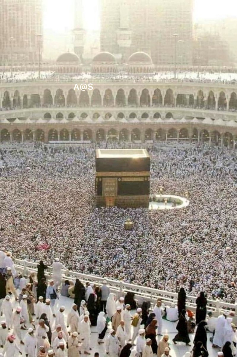 Amina Nur tweet media