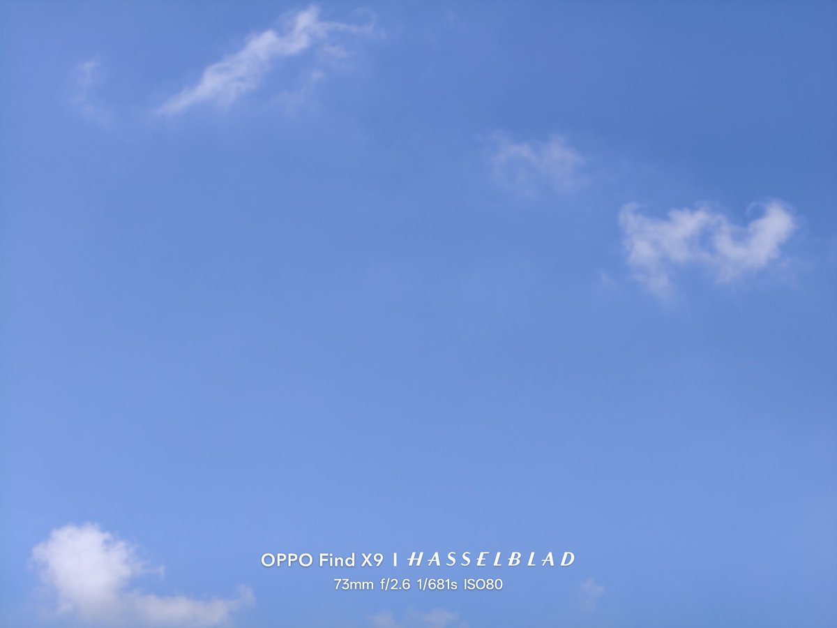 久しぶりの青空 #OPPOFindX9 #HASSELBLAD高解像度モード