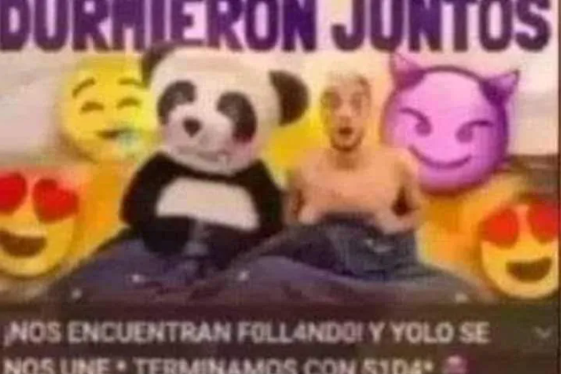 xPodri tweet media