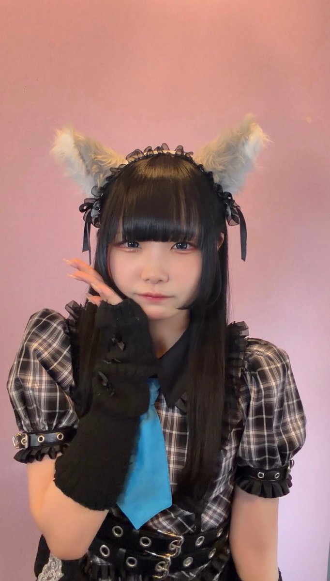 Cafe & Bar けもみみ@新橋コンカフェ | エンジニア無料 tweet media