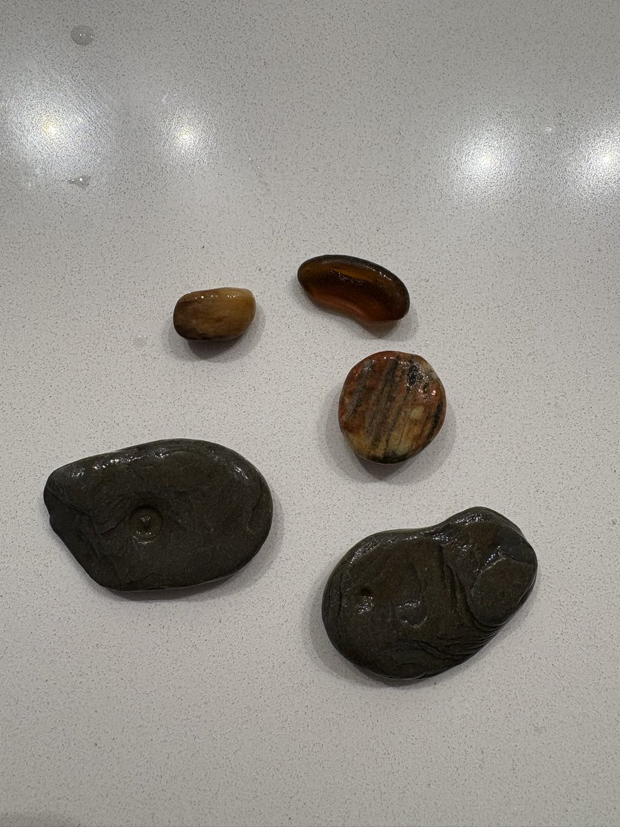 bigmanroan's tweet photo. Rock haul from the beach. One has a little heart in it https://t.co/0LC41MdCB2