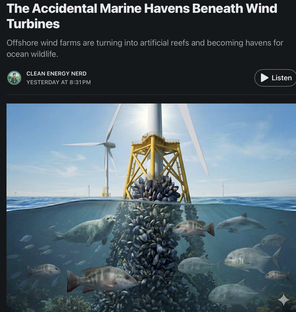 balljimphd's tweet photo. Wind energy is manly. It’s got lots of muscles. Oops. I mean mussels. And when you’ve got mussels, you’ve got the start of an ecosystem. Another creation-friendly cobenefit of wind energy!
#climateaction #climatehope

https://t.co/MzCQ89xKhi https://t.co/6PaTsxqpRa