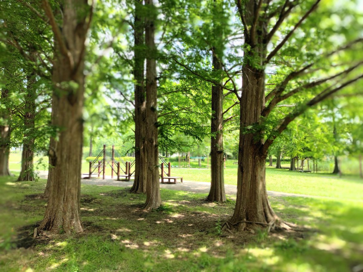 tomogakoi's tweet photo. 近くの公園⛲
キャンプやってる人居ないな～ https://t.co/PAq1JlQURl