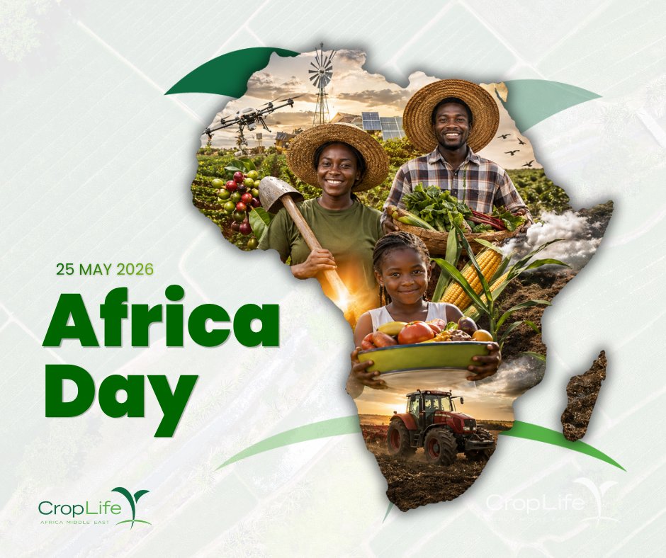 CroplifeAME's tweet photo. To the women and men who wake before the sun. Who feed a continent of 1.4 billion.
African farmers aren't waiting for food security. They're building it.
A thriving Africa starts in the soil.
Happy Africa Day. 🌍
#AfricaDay #CropLifeAME #FoodSecurity https://t.co/JOhzolduUc