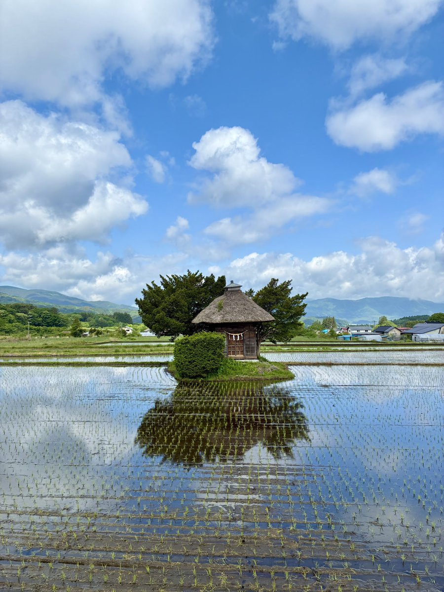 遠野市立博物館 tweet media