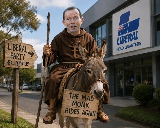 peter tweet media