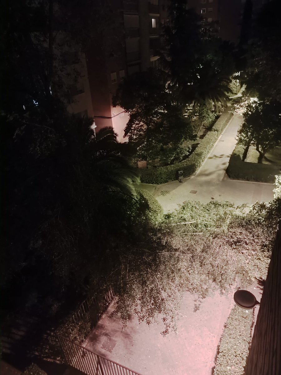 changeelworld's tweet photo. @PoliciaFuenla @AytoFuenlabrada rama de árbol caída en el paseo que hay entre la calle Grecia, Avenida de las Naciones y Paseo del Olimpo. ¿Corresponde al ayuntamiento retirarla? https://t.co/Sav0PlTuis