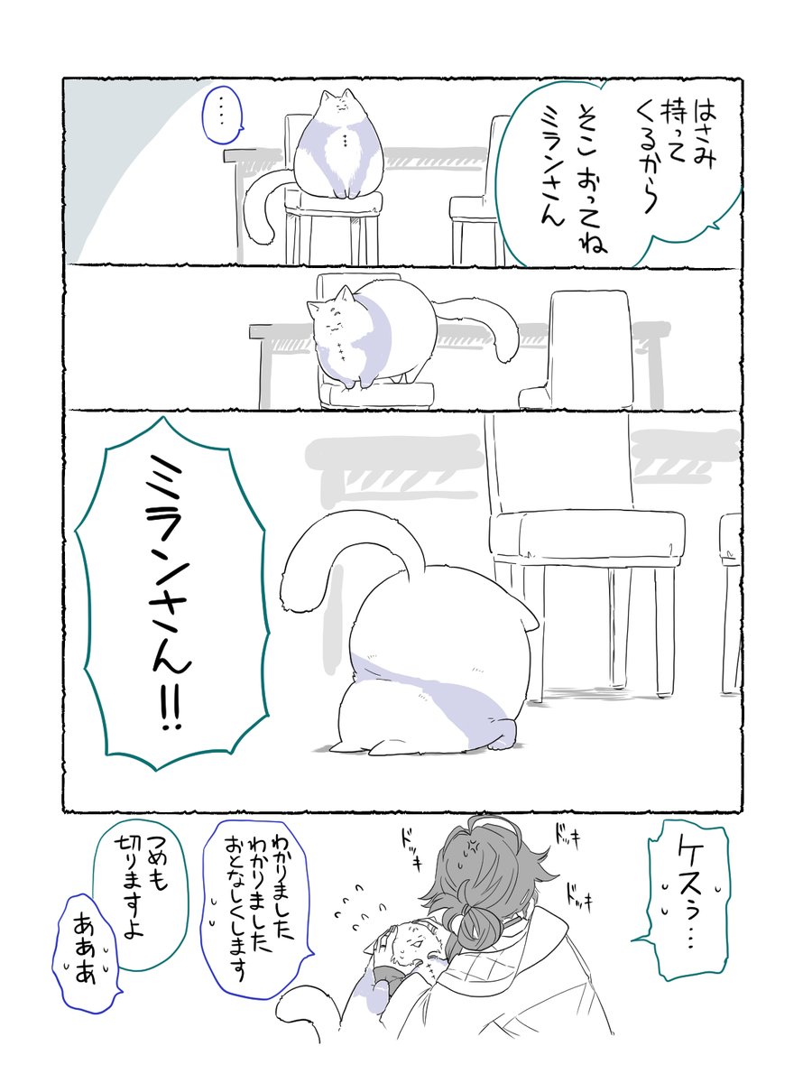 メルヘン tweet media