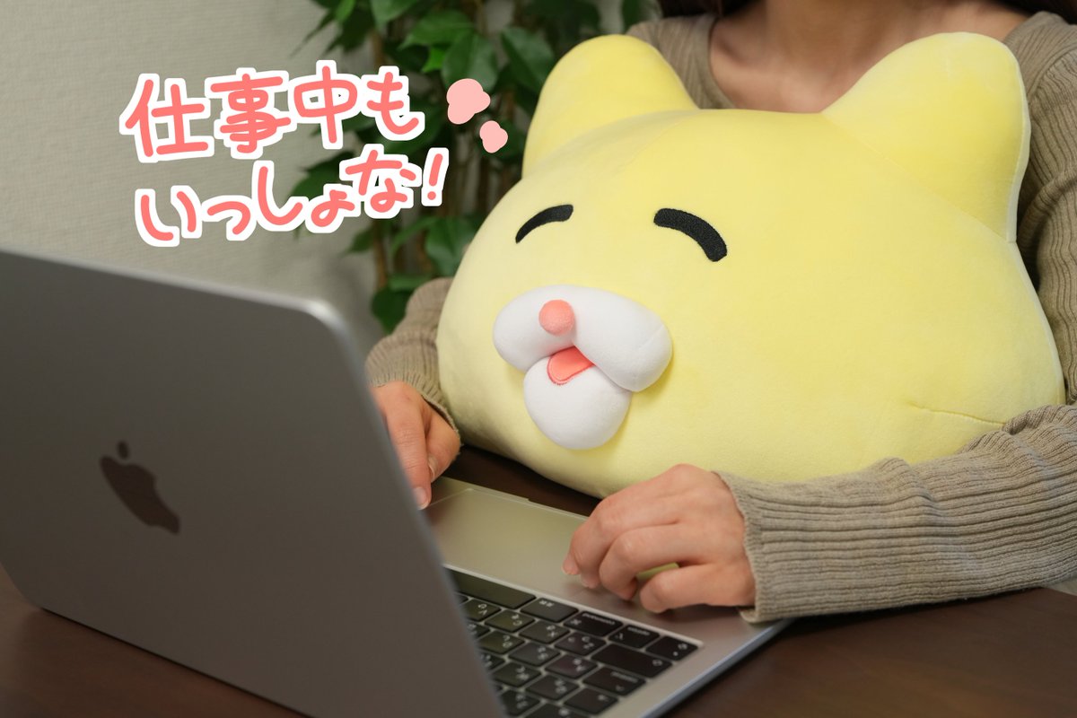 CAMPFIRE Creation(キャンプファイヤー クリエーション)公式 tweet media