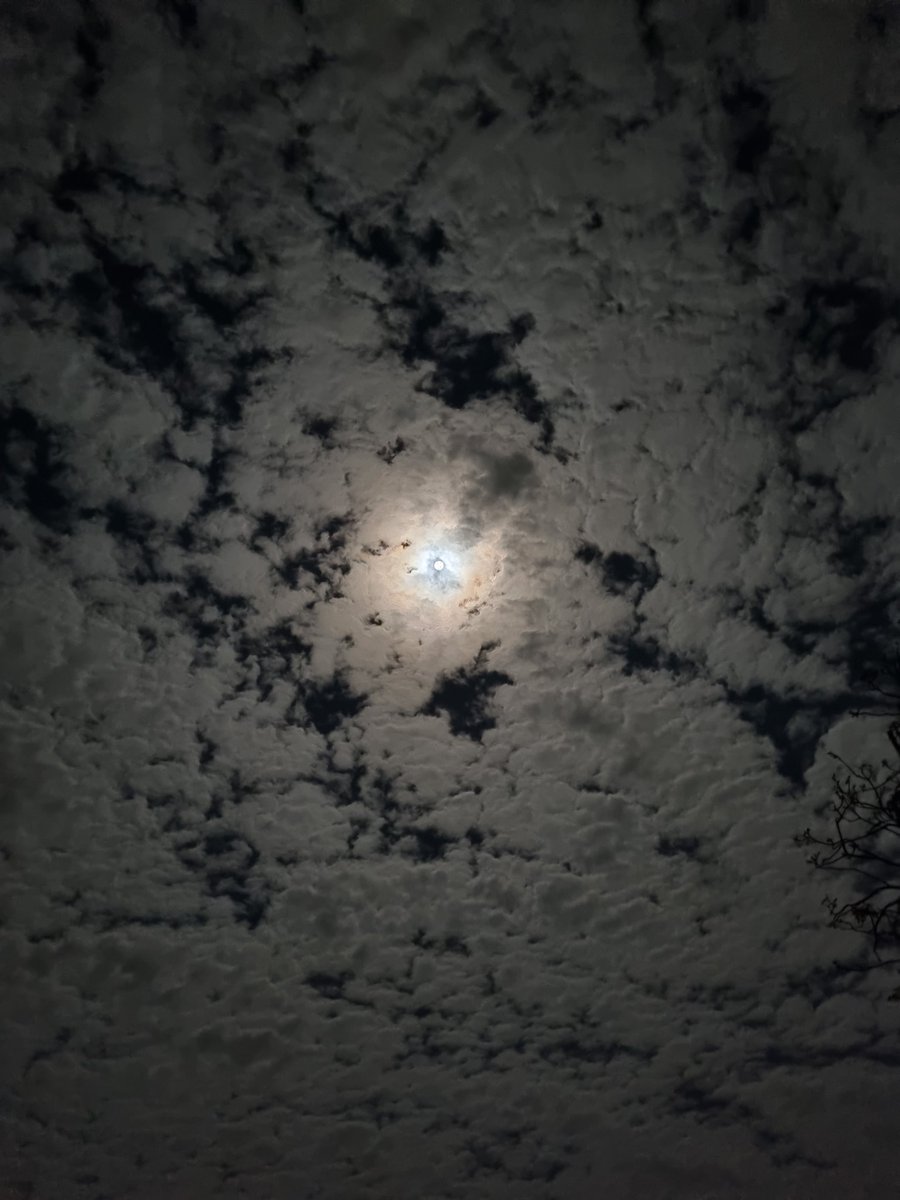 Breadloaf415's tweet photo. remembered this photo i took of the moon that i like https://t.co/BeLw8TxYjn