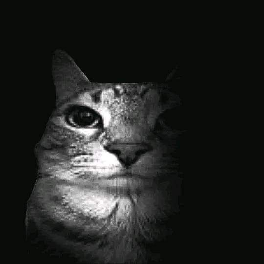 𝐁𝐫𝐚𝐧𝐪𝐮𝐞𝐥𝐨 💭 tweet media