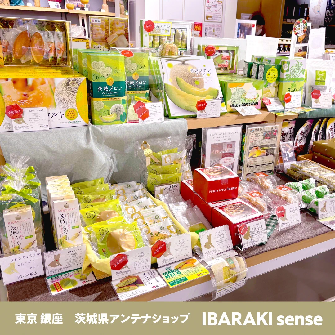 IBARAKI sense -イバラキセンス- on X: 