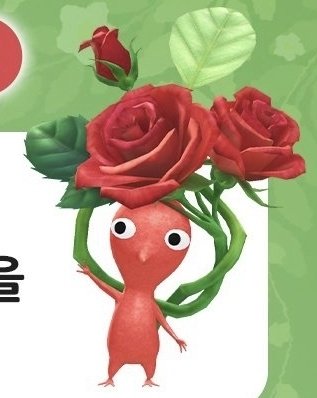 pik..민권익본부 tweet media