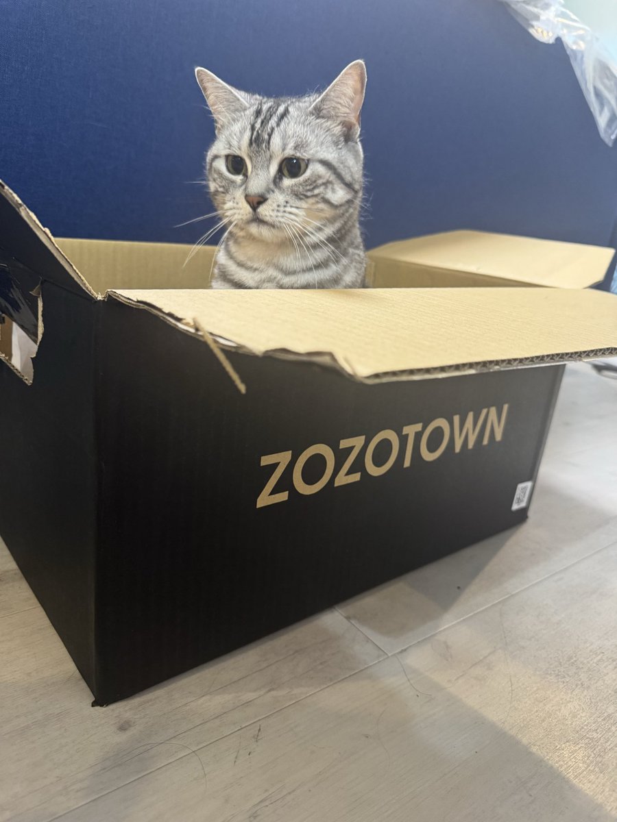 ねこマンモス様　オーダー受付 なんか発送され待ちの猫がおる