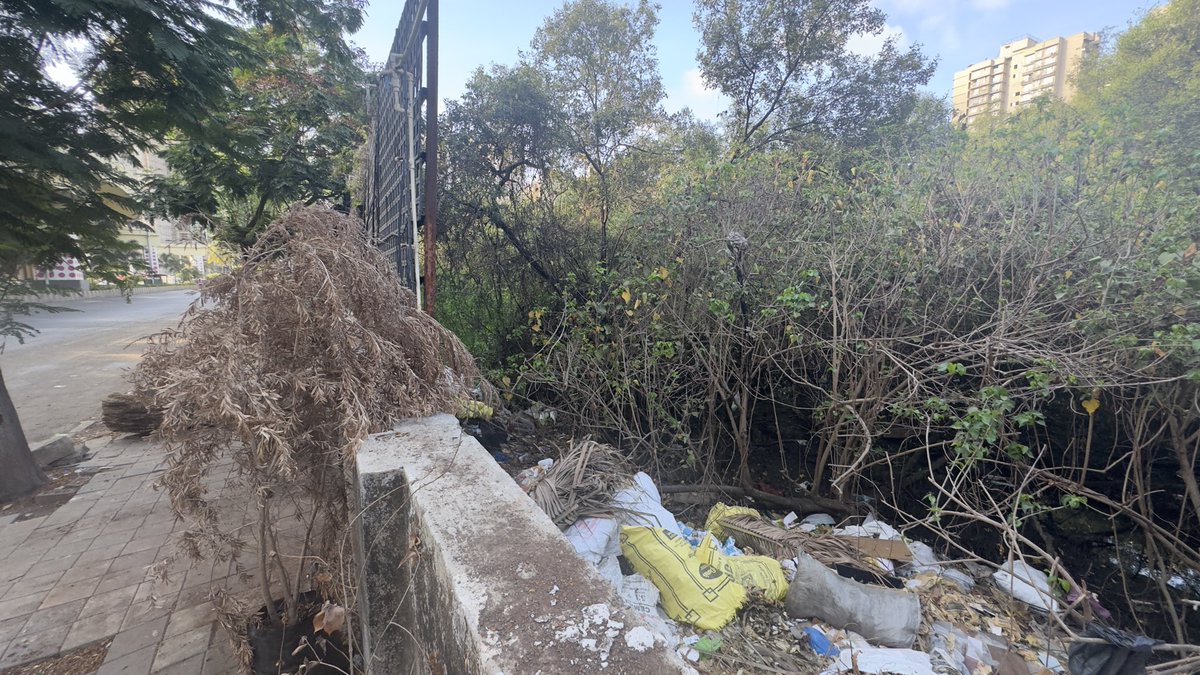 RRanshinge's tweet photo. @mybmcwardKW  new mhada Lokhandwala back road the mangrove forest is unsafe. People have broken the grill. They have made a storage and a dumper natures need to be saved. Environment.. https://t.co/f6sEdeu95b