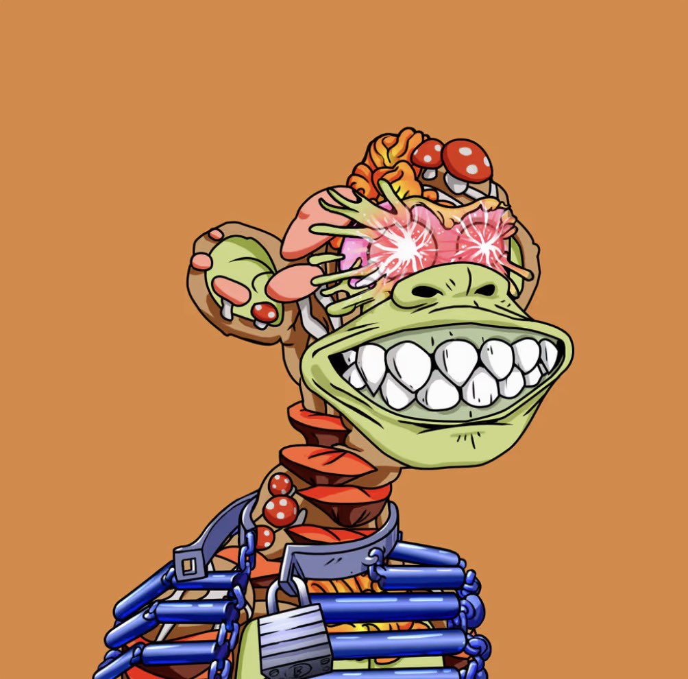 jeremy 🟦🟥 🦍 tweet media