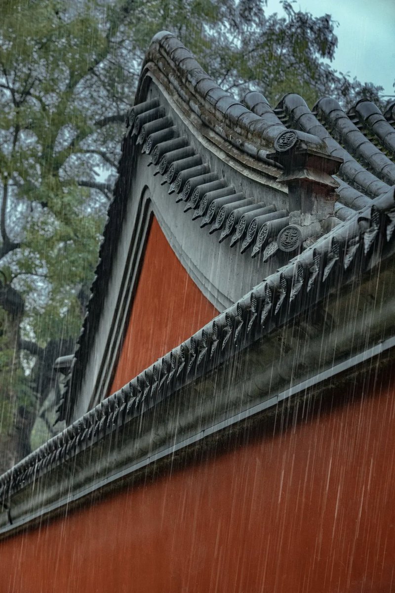 lanting528's tweet photo. 细雨如丝，唤醒保定古园一园草木。绿意层层晕染，枝叶莹润透亮，铺展成无边碧色。清润满目，沁人心脾，空气里浮动草木清香。
叶片上雨珠滚落又悬停，折射细碎微光。整座园林，仿佛罩上一层会呼吸的滤镜。雨中游园，方知——有些风景，注定要在雨天相遇。
 
#新畿辅 #BaodingGardens #RainySummer https://t.co/05QEzECSwr