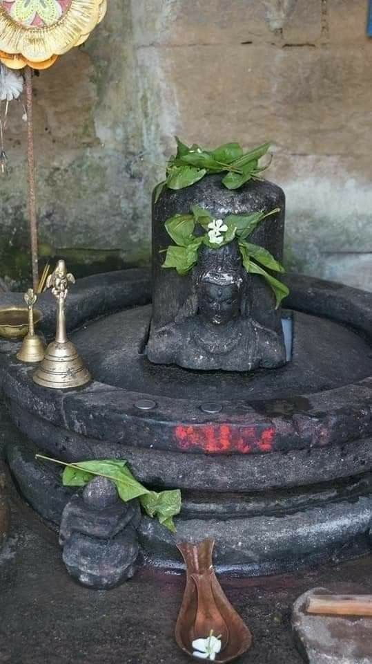 इनाया ठाकुर tweet media