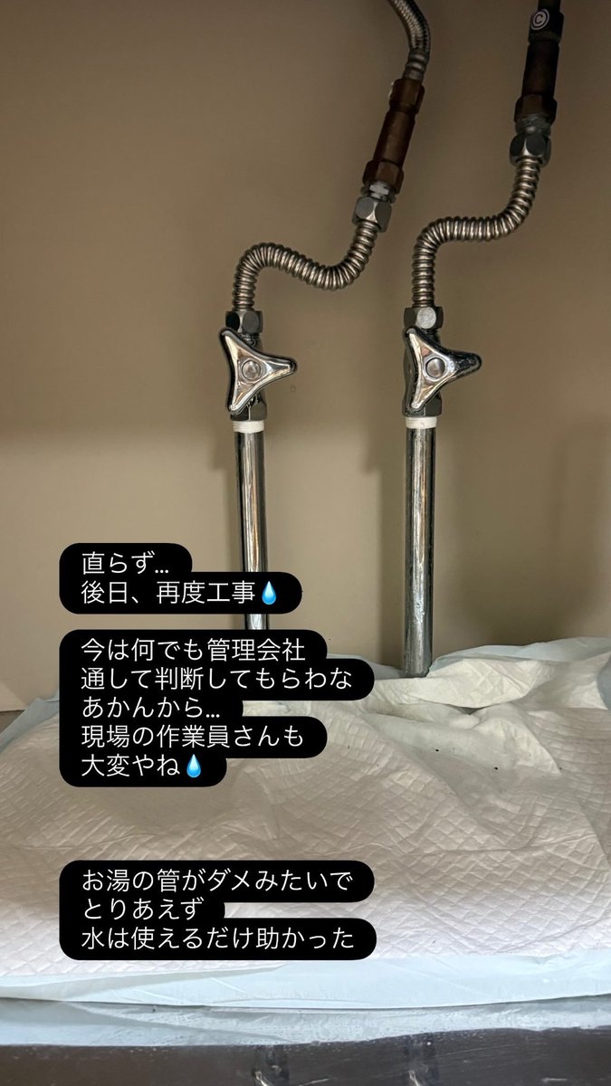 あこ氏 tweet media
