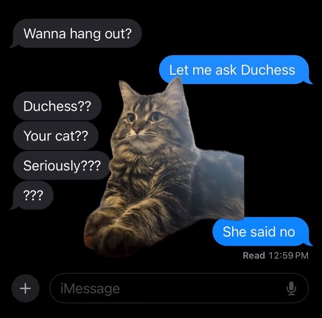 pawracat's tweet photo. @nocontextmemes https://t.co/rO1Aqx3a6n