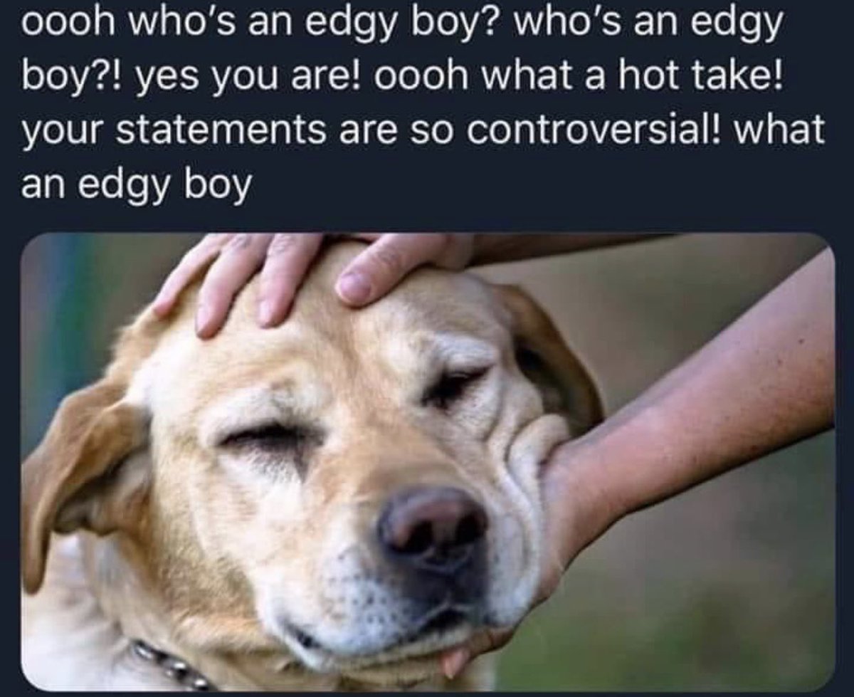 wicky tweet media