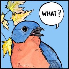 Finalblueman tweet media