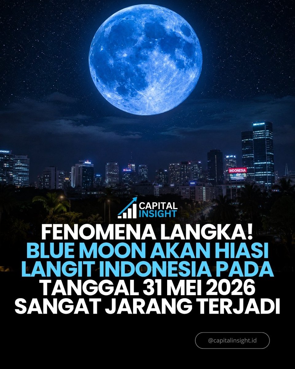 Capital Insight tweet media