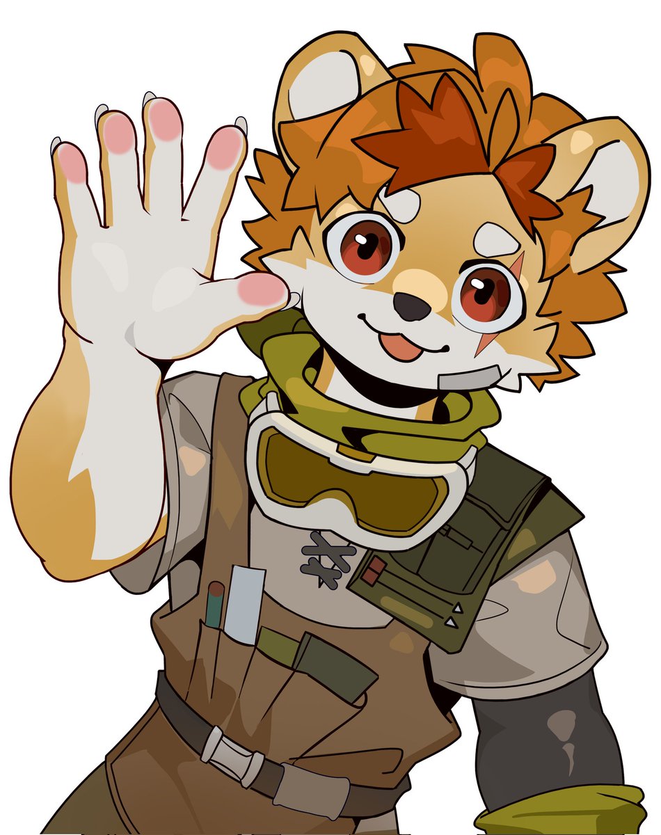 渡渡鸟 tweet media