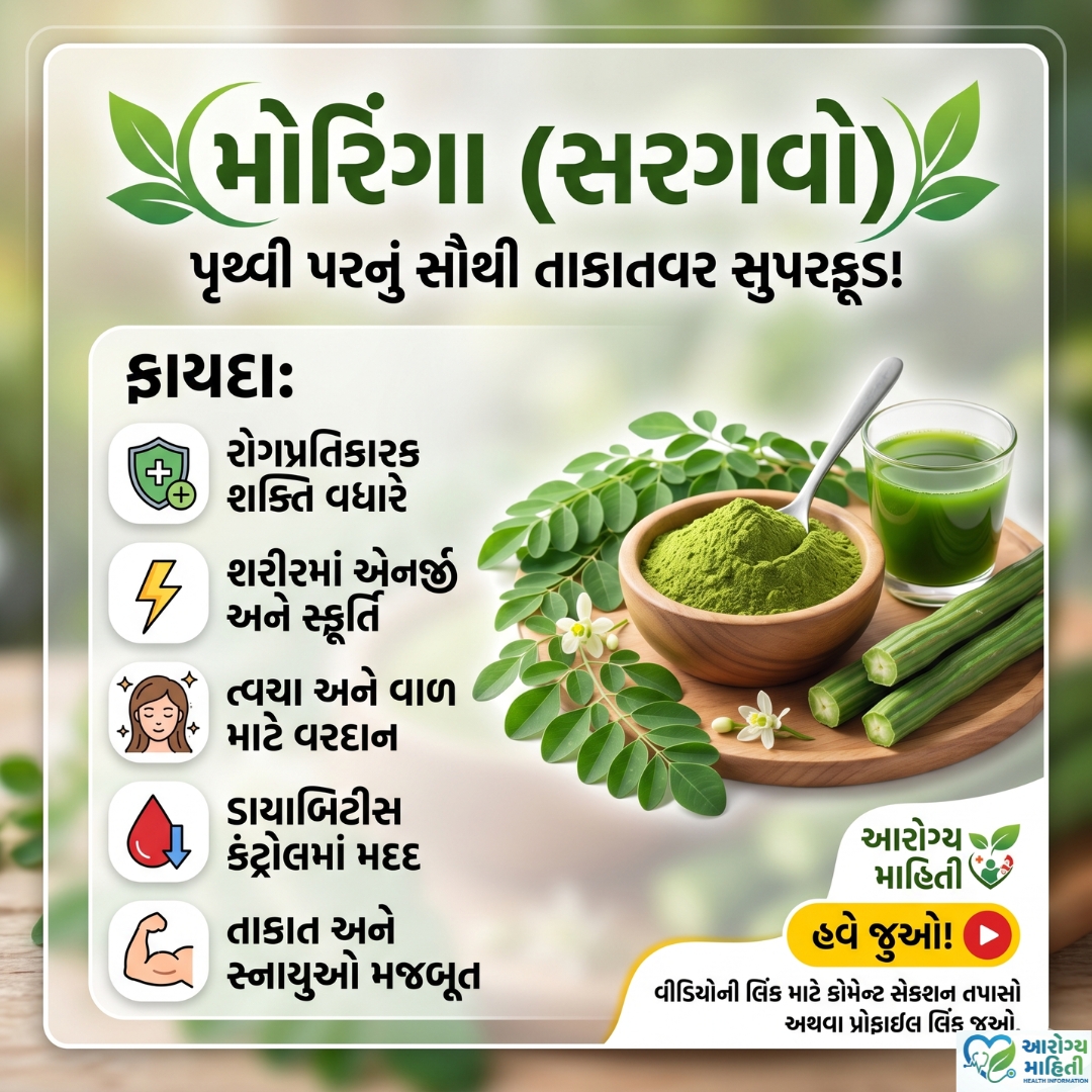Samarpanphy's tweet photo. 🌿 વિદેશીઓ જેને 'સુપરફૂડ' કહે છે, તે આપણો દેશી સરગવો (Moringa) સ્વાસ્થ્ય માટે કોઈ વરદાનથી કમ નથી!

સાંધાના દુખાવા, સ્નાયુઓની નબળાઈ અને કેલ્શિયમની ઉણપ દૂર કરવા માટે સરગવાનો સાચો ઉપયોગ કેવી રીતે કરવો? 🦴💪 
સંપૂર્ણ માહિતી આ વીડિયોમાં: 👇

▶️ https://t.co/V7OqjXpNvx

#Moringa #સરગવો https://t.co/2CYol6l5WV