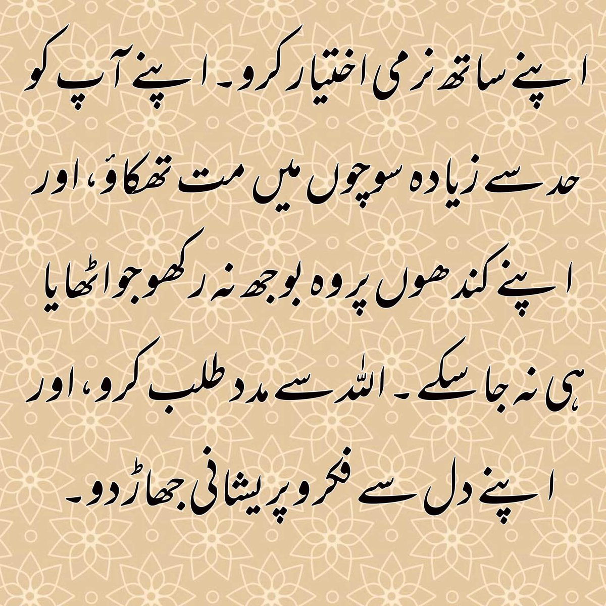 🕊️𝕊ʏᴇᴅᴀ 𝐒ᴀɴᴀᴍ 𝕊ʜᴀʜ 🕊 tweet media