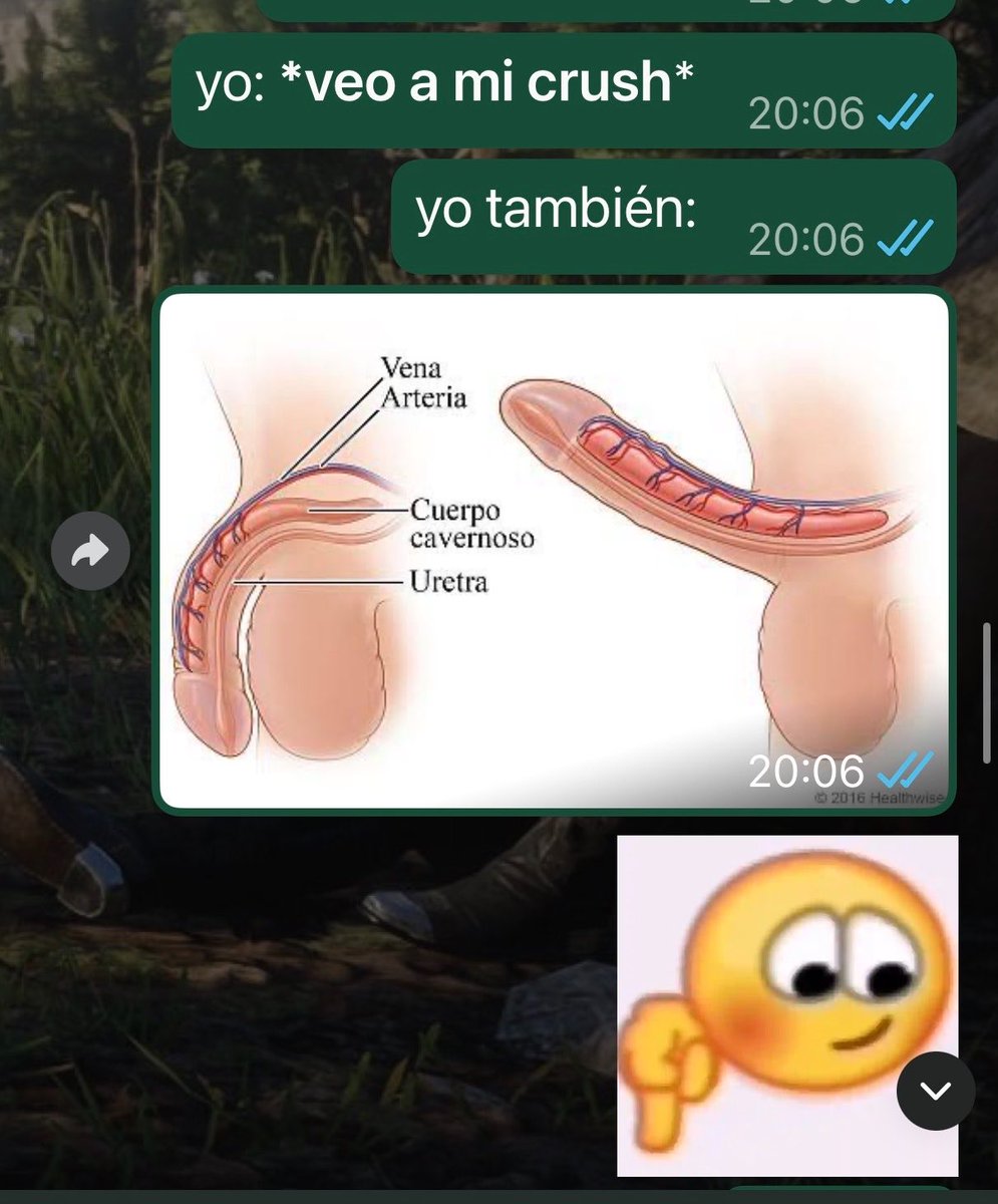 A continuación, te tocaré el pito. tweet media