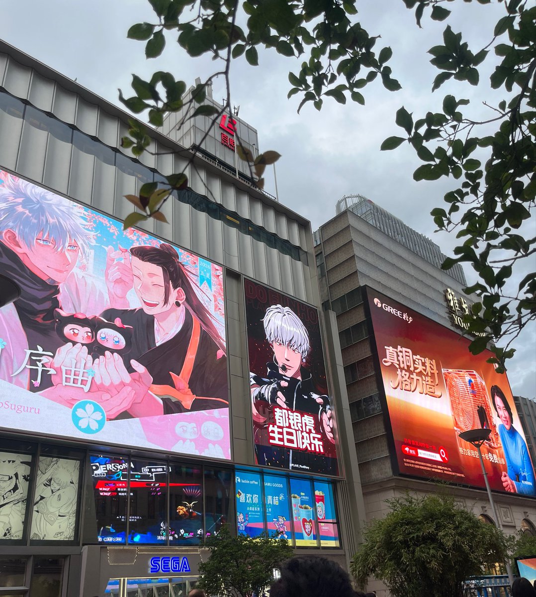 썸머 tweet media