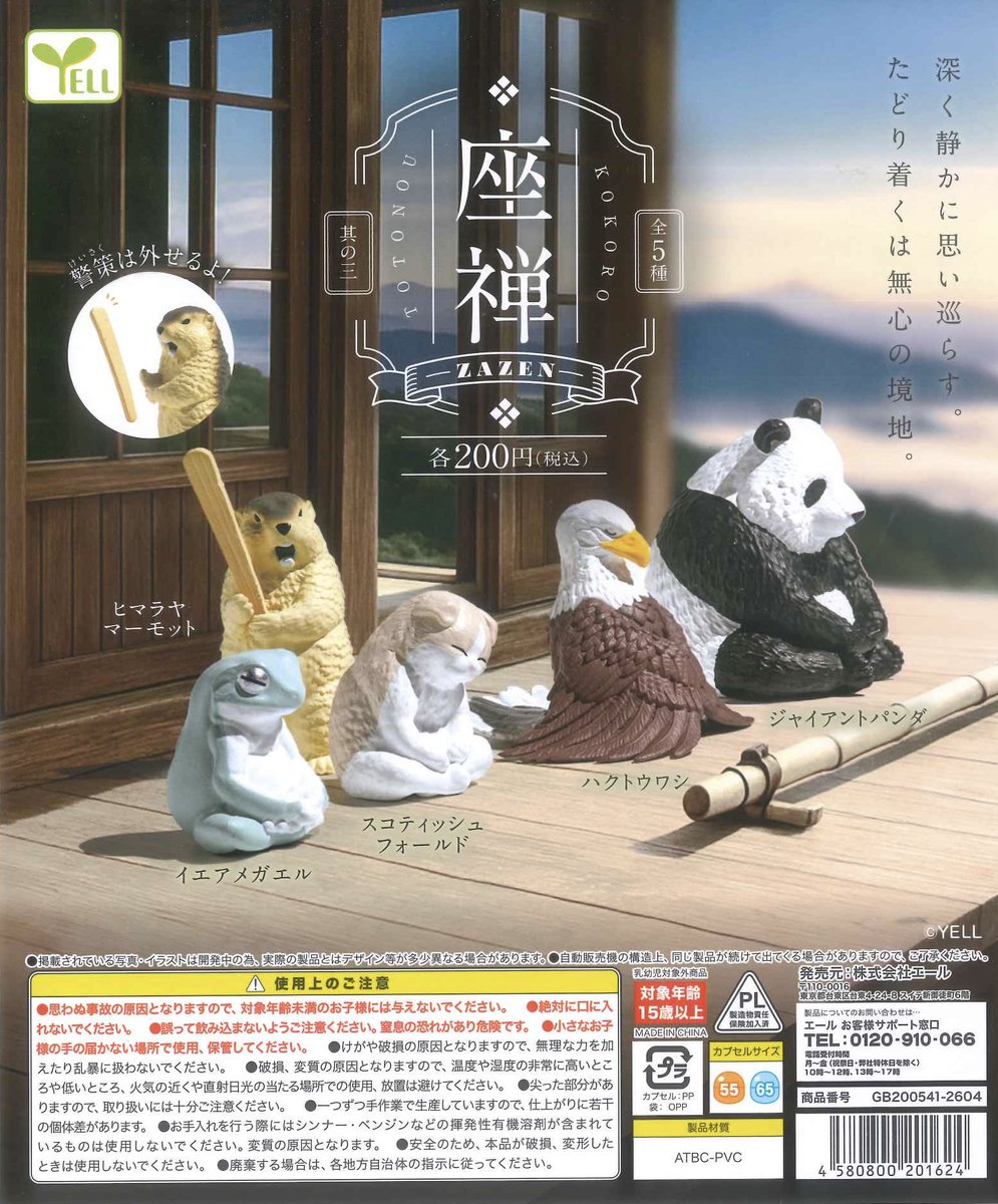 #C-pla 仙台中央通り店【公式】 tweet media