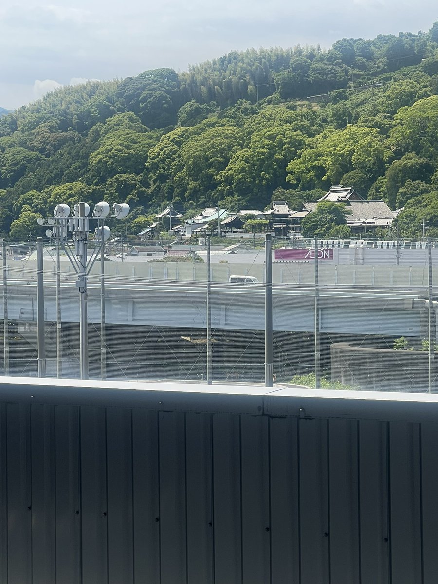 とど🦭 tweet media