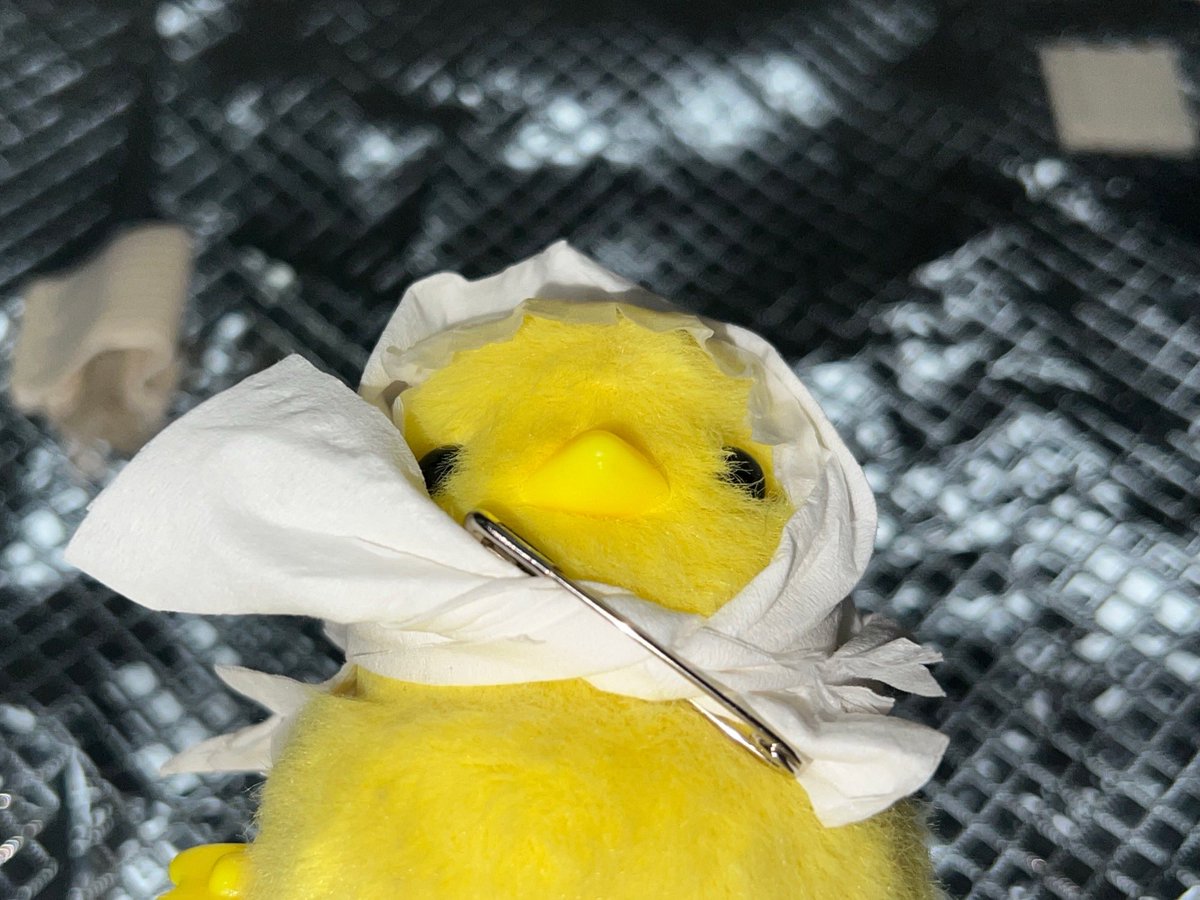 bngccofficial's tweet photo. BCC
THE 1ST SINGLE ALBUM
<BIRD INFLUENZA>

CONCEPT PHOTO #1

ALBUM RELEASE
2026.05.27 WED 12PM (KST)

#BCC #병크크
#BIRD_INFLUENZA
#THECHICKDANCE https://t.co/RO7T2s52ut