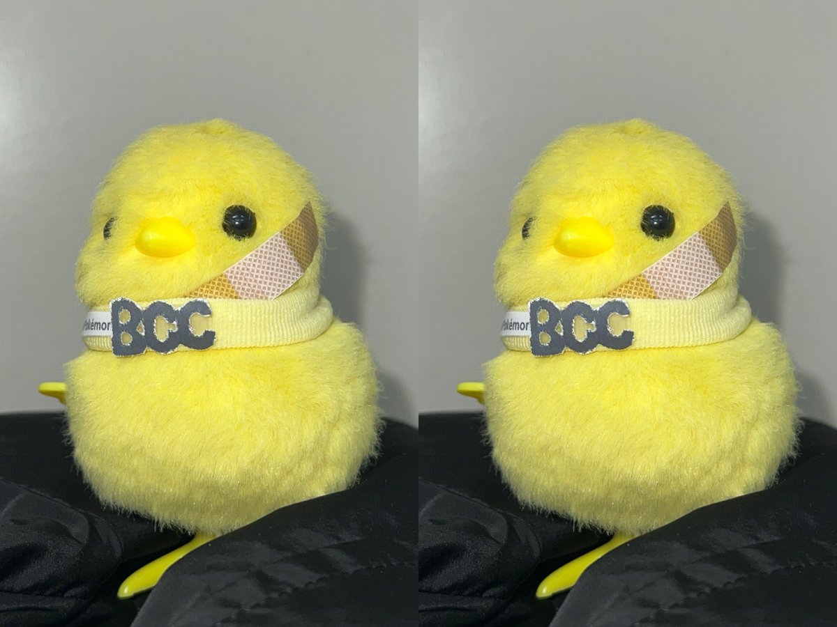 bngccofficial's tweet photo. BCC
THE 1ST SINGLE ALBUM
<BIRD INFLUENZA>

CONCEPT PHOTO #2

ALBUM RELEASE
2026.05.27 WED 12PM (KST)

#BCC #병크크
#BIRD_INFLUENZA
#THECHICKDANCE https://t.co/M3hxP4G6Bz