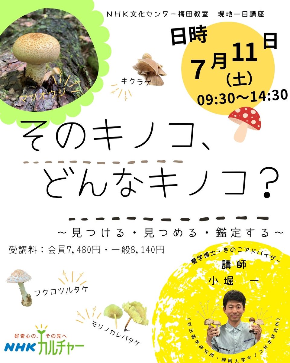 キノコページ そのキノコ、どんなキノコ？」と題して きのこの観察会を行います