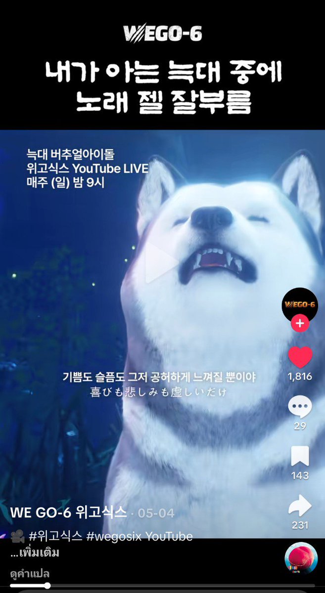 wanwanbeans's tweet photo. ชอบมาก ฮัสกี้ร้องเพลง https://t.co/TpDBzbqNJb