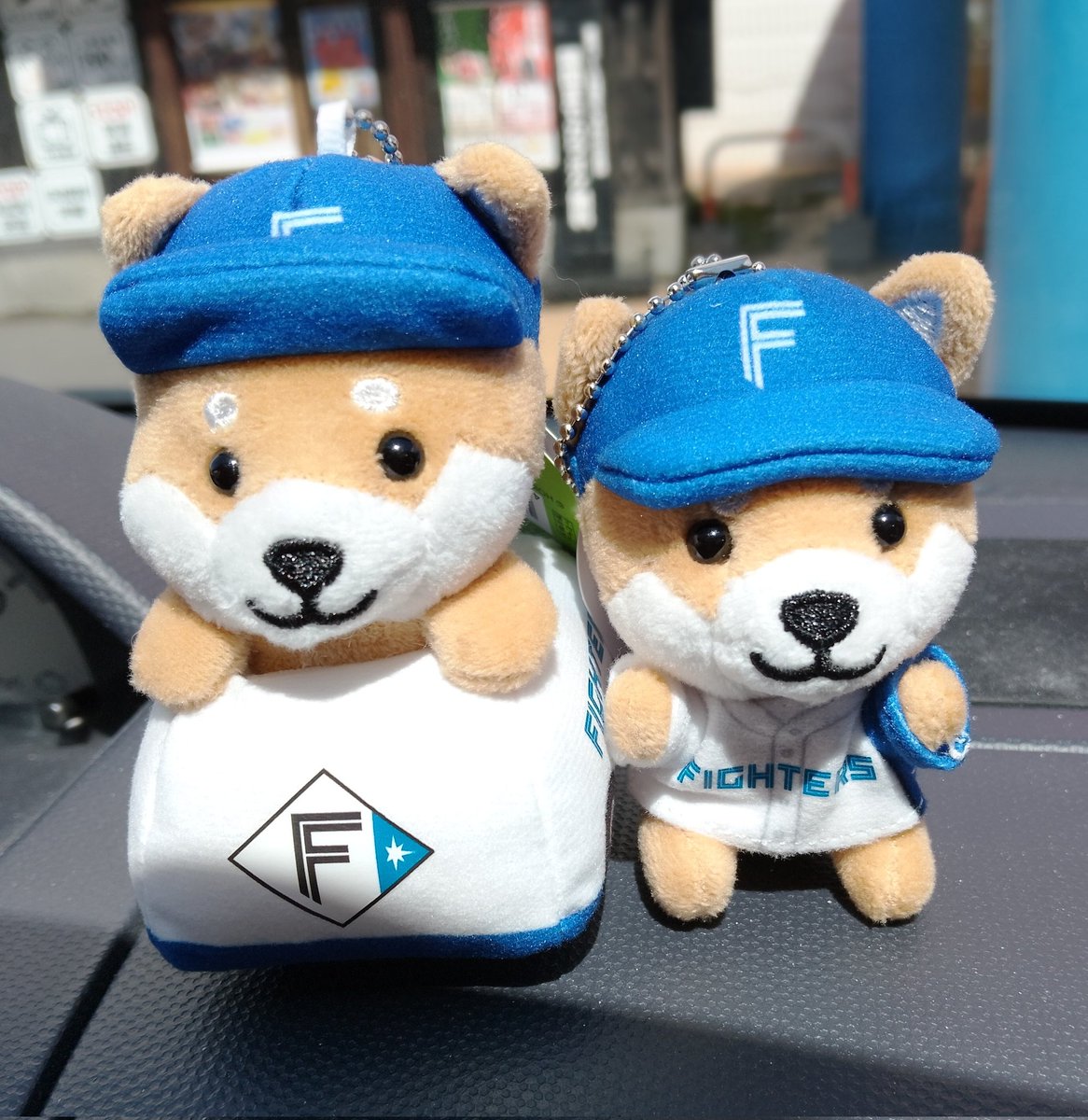 おしめ🐾^ᴥ^🐾 tweet media