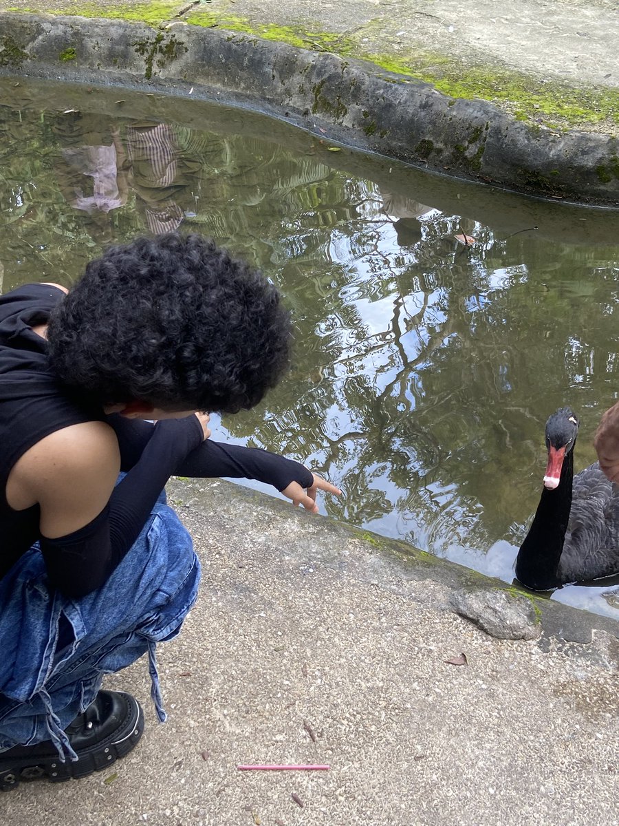 Lucca | 🕸️ tweet media