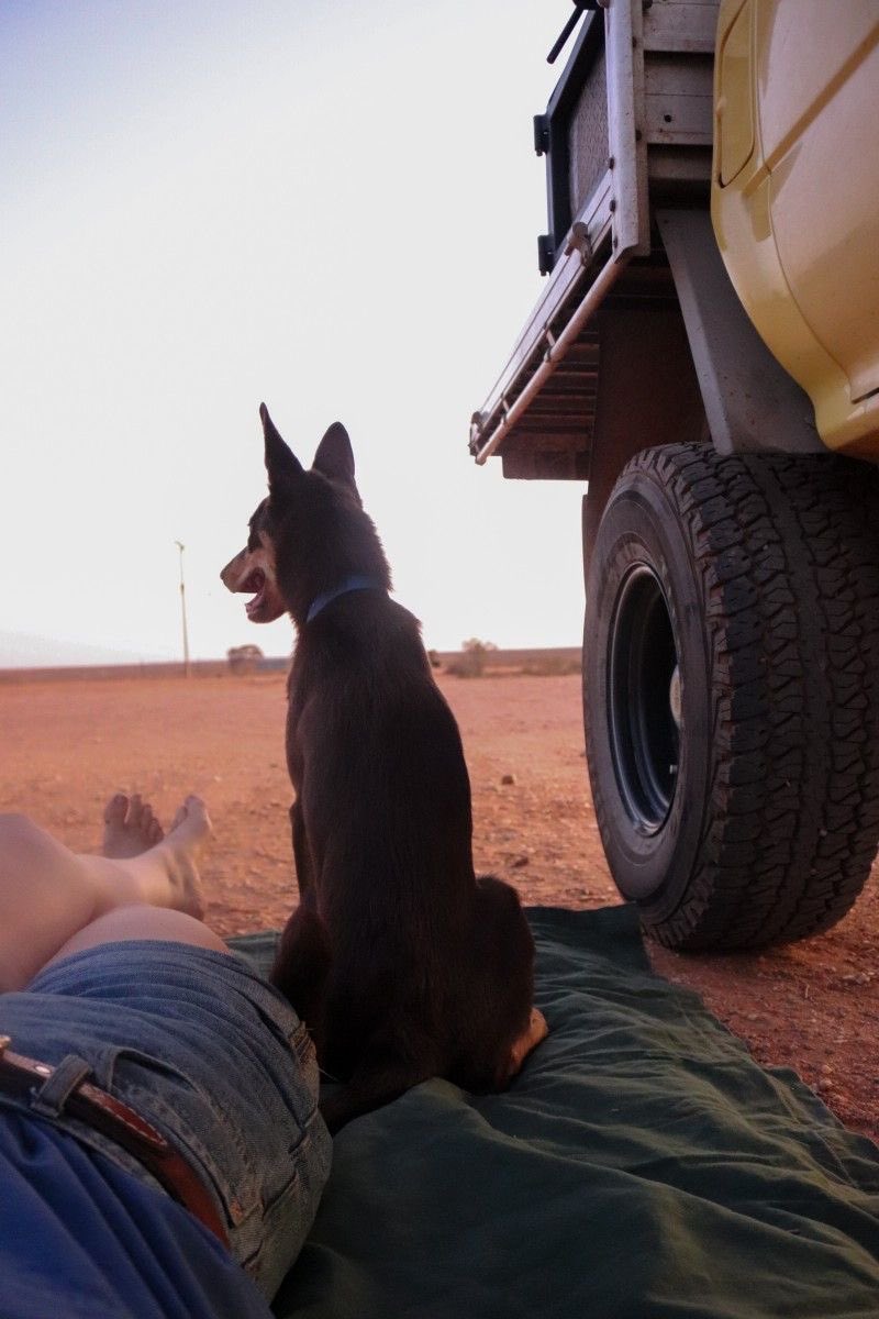stuntmanseavers's tweet photo. Waiting for the sunset :) https://t.co/bimiCNnd92