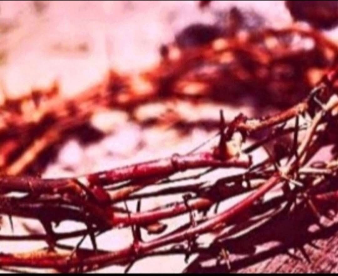FLSDirector7777's tweet photo. @RepentKSMO @RutoPenina #USANeedsJesus
HIV AIDS healed.
This is Awsome braking news.
Because the Scientist call it the Holy Grail, once the cure is found.
Finally, The Precious Holy Blood of Jesus Christ is that Holy Grail.
Allelujah Allelujah Allelujah. https://t.co/pL0cmzZ4VA