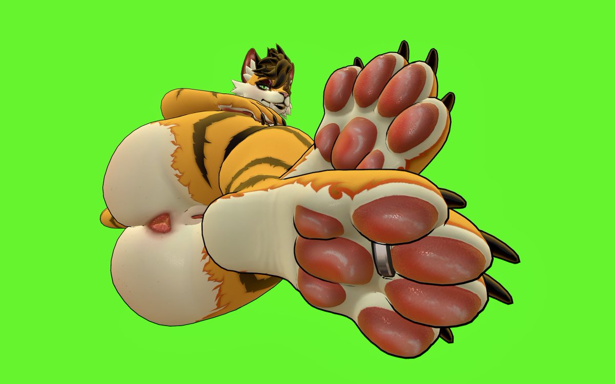 🔞Opal The Tiger🔞 tweet media