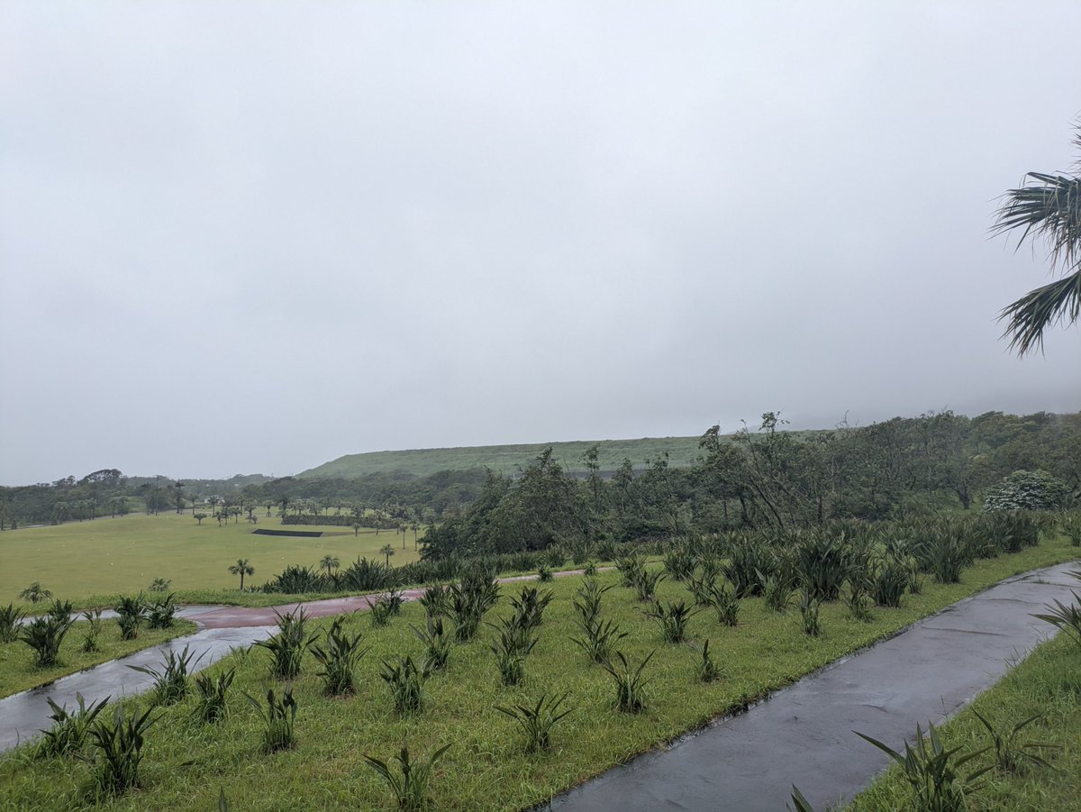 kencharumah's tweet photo. 青空は何処へ、、、八丈島はついに梅雨入り？
いつもは大賀郷園地から八丈富士も八丈小島が見えますが、すっかり霧の中。
カモメ達も芝生で寛いでいます。 https://t.co/emwJ3jNkJT