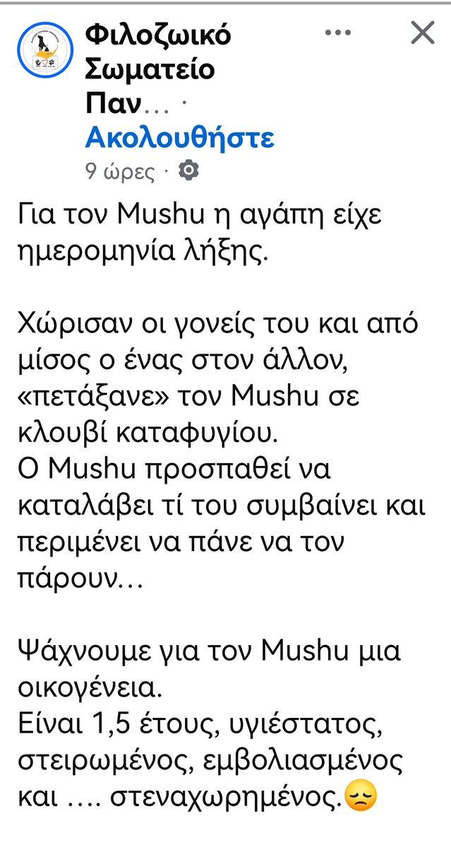 Christinaliroudia tweet media