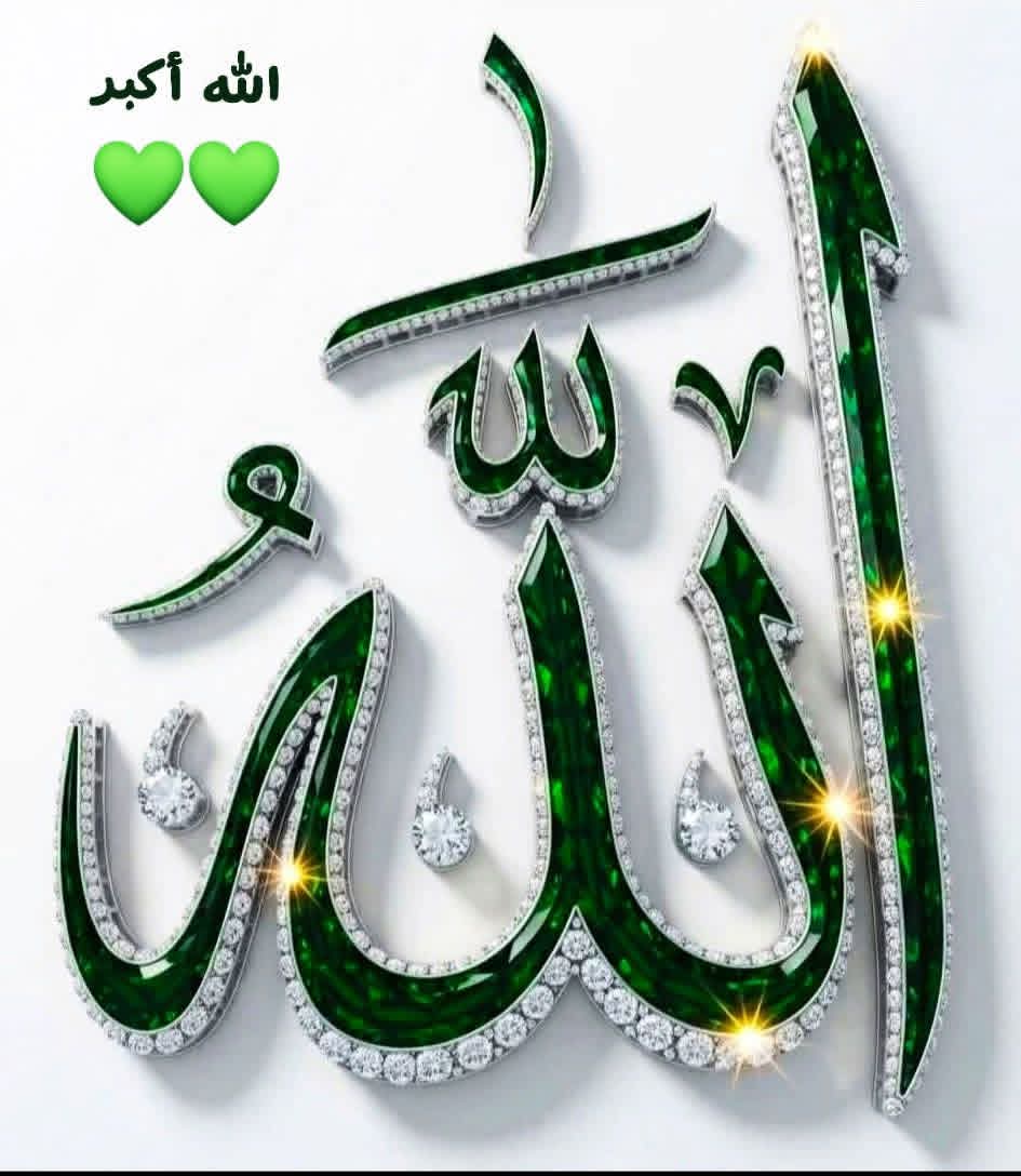 مرشد مغل🌹🇵🇰🌹 tweet media