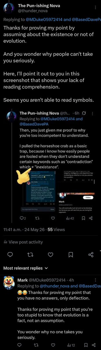 The Pun-ishing Nova tweet media