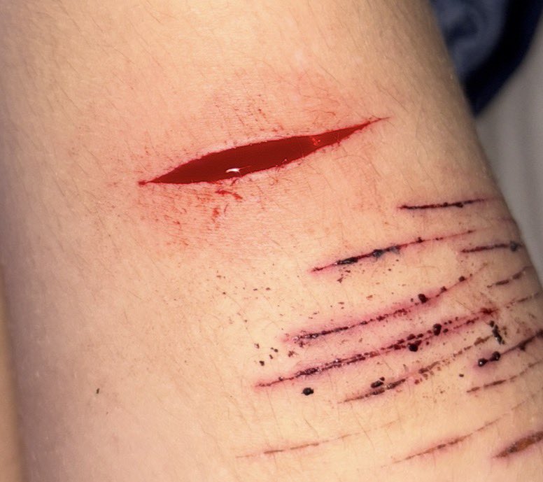 miko !! shedtwt tweet media