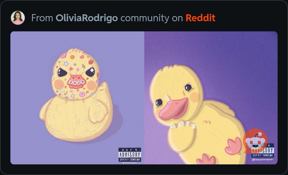 alybunbun's tweet photo. saw the cutest duck livs on Reddit made by the talented @comamorleonor https://t.co/WnqAgVNXKo