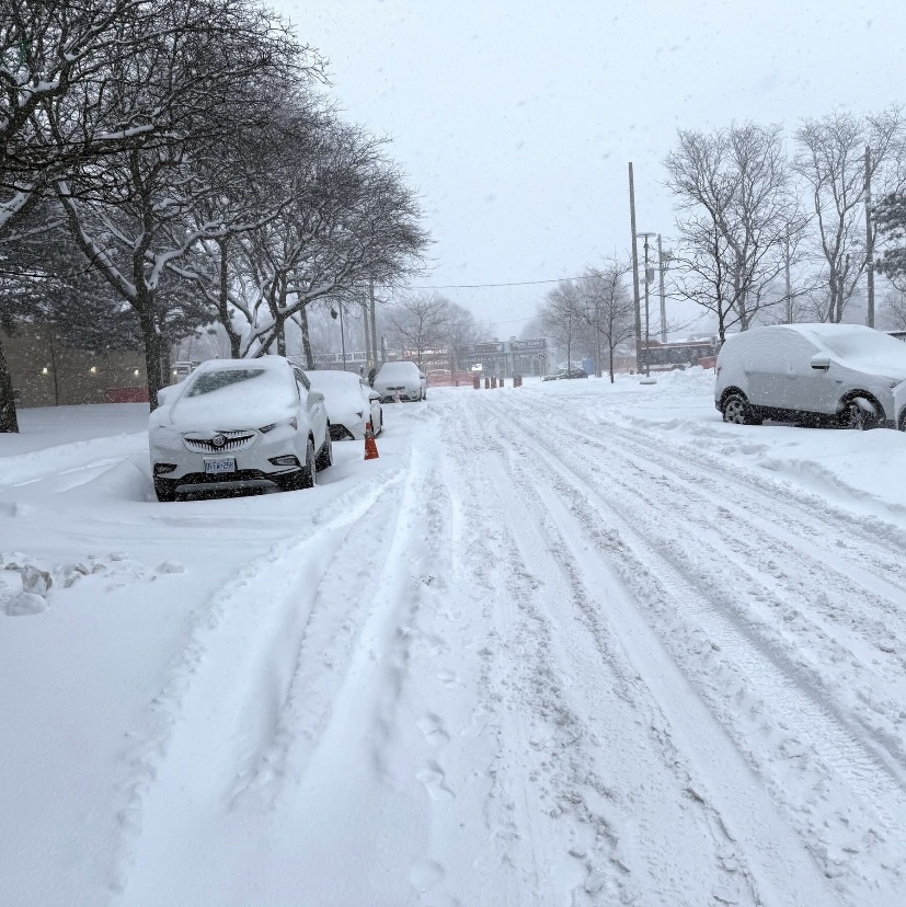 RoushanvlogCA's tweet photo. Incredible winter in Toronto! #Canadalife #Nature https://t.co/C1eJw6ihoD